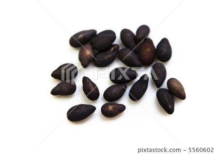 Black sesame Black sesame 5560602