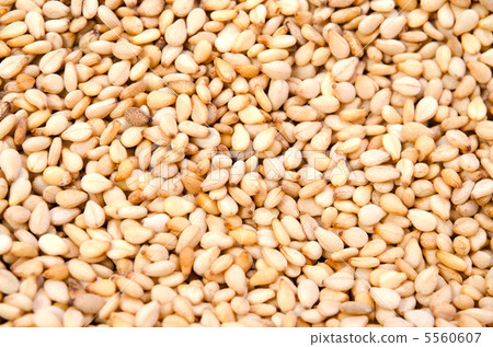 White sesame 5560607