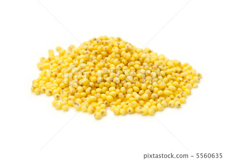 粟 5560635