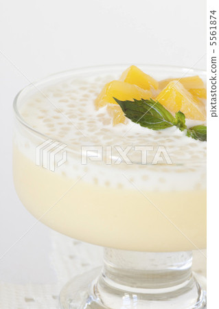 Tapioca Mango Pudding Tapioca Mango Pudding 5561874