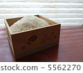 飯 5562270
