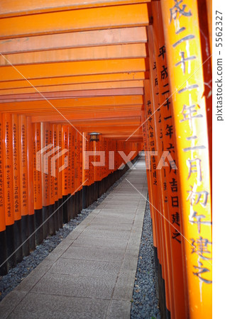 Fushimi Inari shrine Torii Torii 5562327