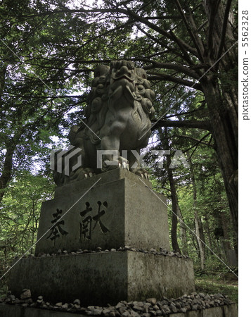 守護神在Togakushi神社 守護神在Togakushi神社 5562328