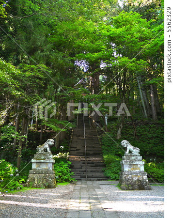 Togakushi Shrine Treasure Co. Togakushi Shrine Treasure Co. 5562329