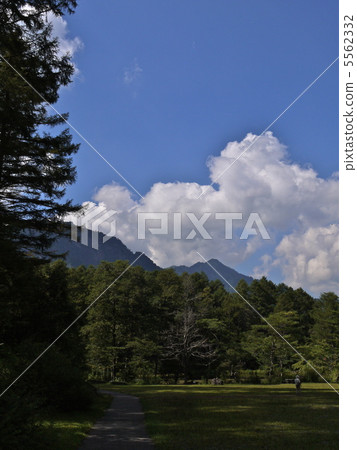 Togakushi forest botanical garden Togakushi forest botanical garden 5562332