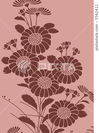 Graphic pattern 5562411