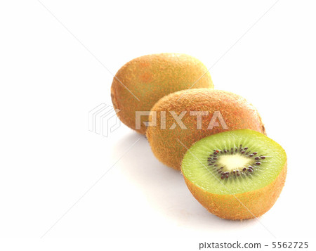 Kiwi fruit white background 5562725