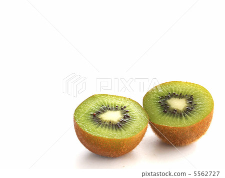 Kiwi fruit white background 5562727