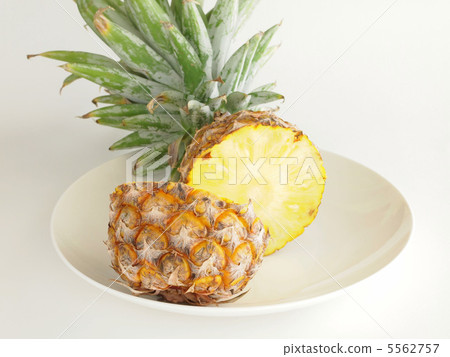 pineapple  5562757