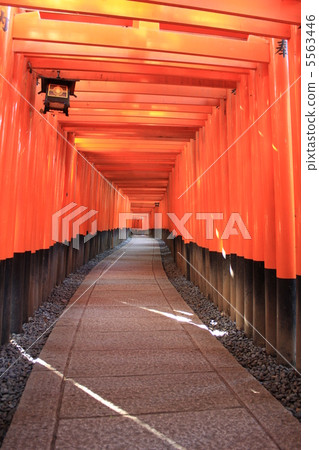 Fushimi-Inari Taisha神社在京都 Fushimi-Inari Taisha神社在京都 5563446