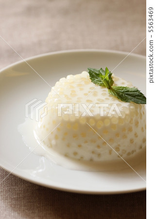 珍珠粉椰奶布丁 5563469