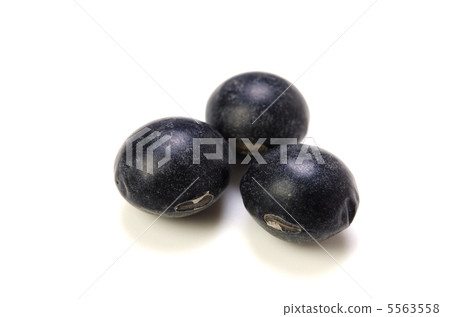 Black bean Black bean 5563558