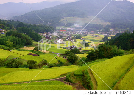 Terraced one hundred election rice paddy terraced rice fields Terraced Rice-Fields of Sakaori in Gifu Terraced one hundred election rice paddy terraced rice fields Terraced Rice-Fields of Sakaori in Gifu 5563843