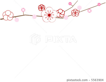 白梅花框架 白梅花框架 5563904