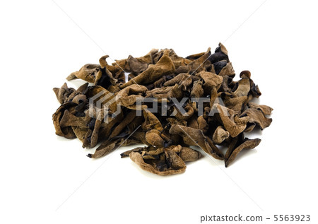 Chrysanthemum 5563923