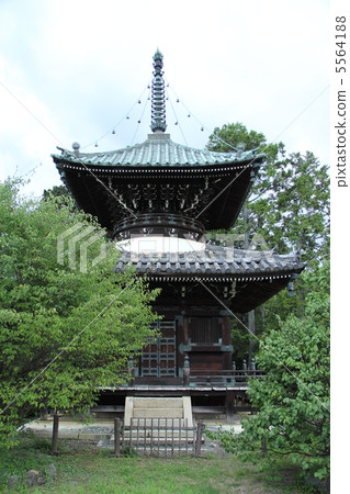 清涼寺 清涼寺 5564188