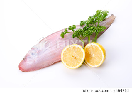 黑牛舌，黑熱病 5564263