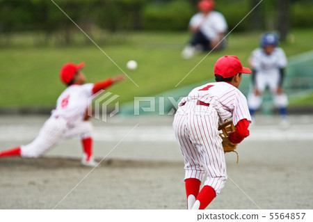 Juvenile baseball 5564857