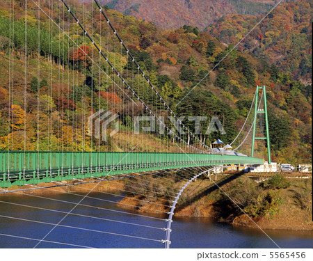 紅葉谷吊橋 紅葉谷吊橋 5565456
