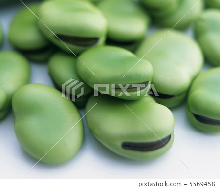 A heap of broad beans isolated on white A heap of broad beans isolated on white 5569458