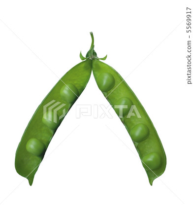 peas isolated on white 5569917