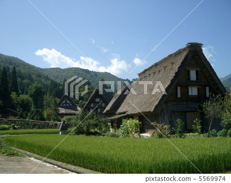 Shirakawago Early summer landscapes of ryuguaku 5569974