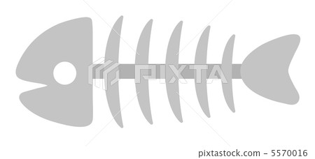 Fish bone 5570016