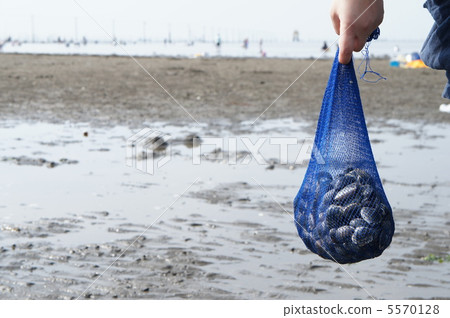 Clamming Clamming 5570128