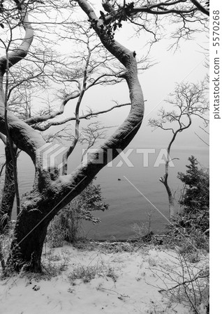 Snow lakeside 5570268