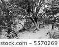 Snow lakeside 5570269