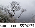 Snow lakeside 5570275