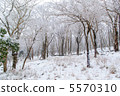 Snow scene of Hakone 5570310