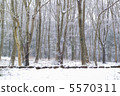 Snow scene of Hakone 5570311