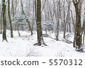 Snow scene of Hakone 5570312