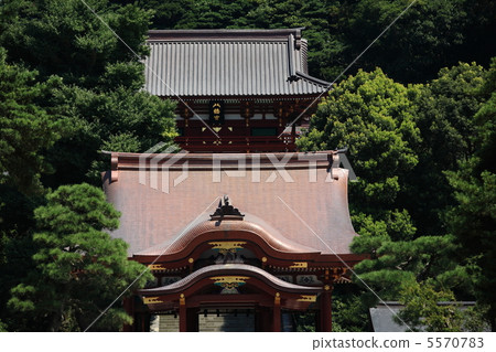 鎌倉鶴岡八幡宮 鎌倉鶴岡八幡宮 5570783