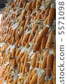 玉米 5571098