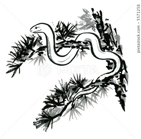 A white snake coiling around a pine branch (ink painting) 5571258