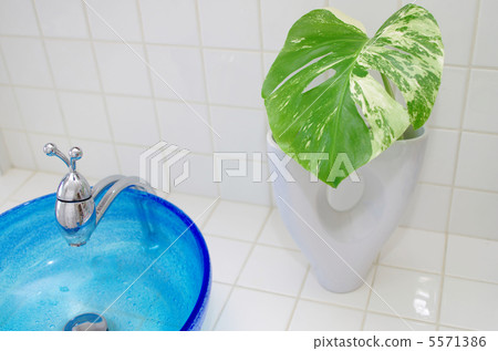 Monsutara and Ryukyu glass washbowl 5571386