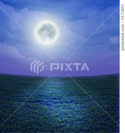 Moonlight land 5571601