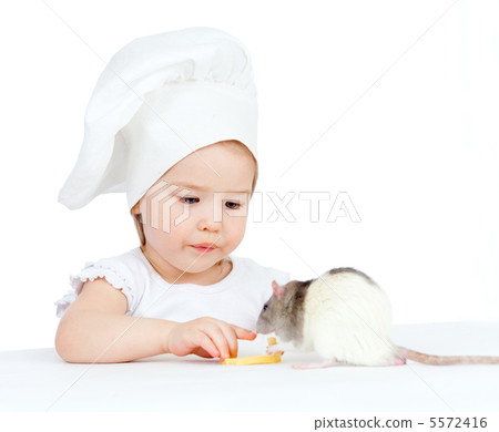 Chef girl and domestic rat eating healthy food together. Isolate 5572416
