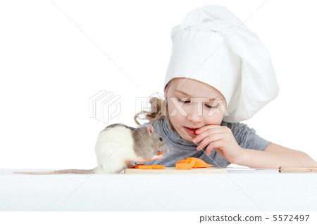 Chef girl and domestic rat eating healthy food together. Isolate 5572497
