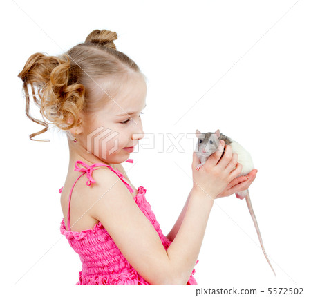 adorable child girl holding domestic rat pet adorable child girl holding domestic rat pet 5572502