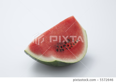 watermelon watermelon 5572646