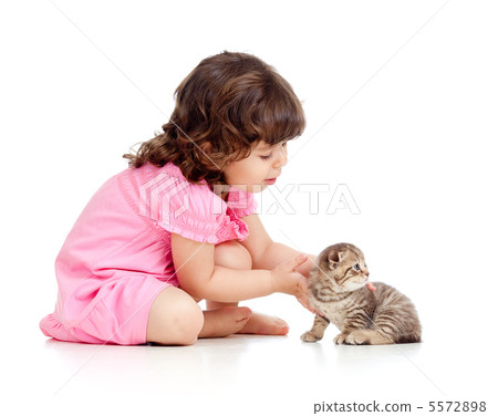funny child playing with Scottish kitten funny child playing with Scottish kitten 5572898