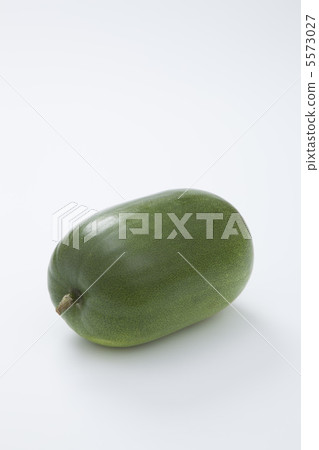 冬瓜 5573027