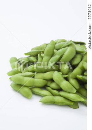 毛豆 5573082