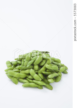 毛豆 5573083
