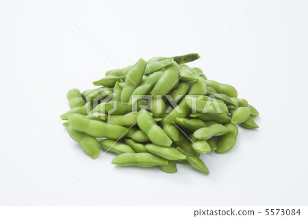 毛豆 5573084