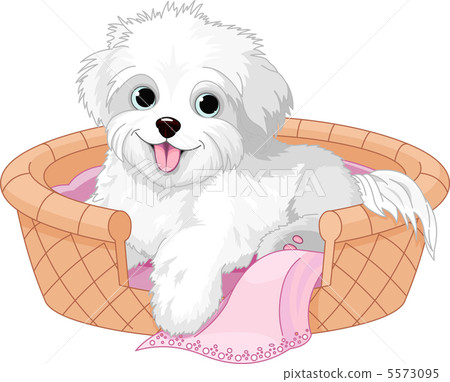 White fluffy dog 5573095