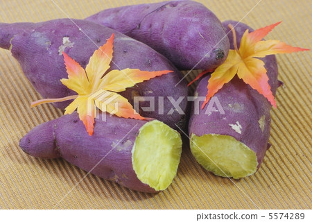 Sweet potato  Sweet potato 5574289
